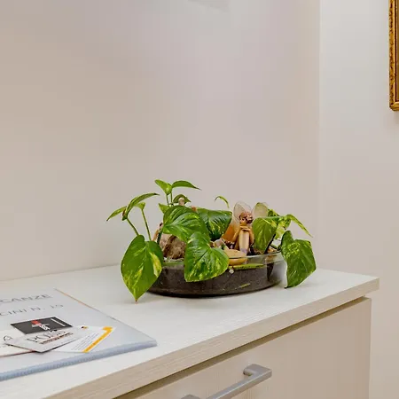 A5 Girasole - Rho Fiera Mpx - Three-room Double Amenities Apartment Cesate